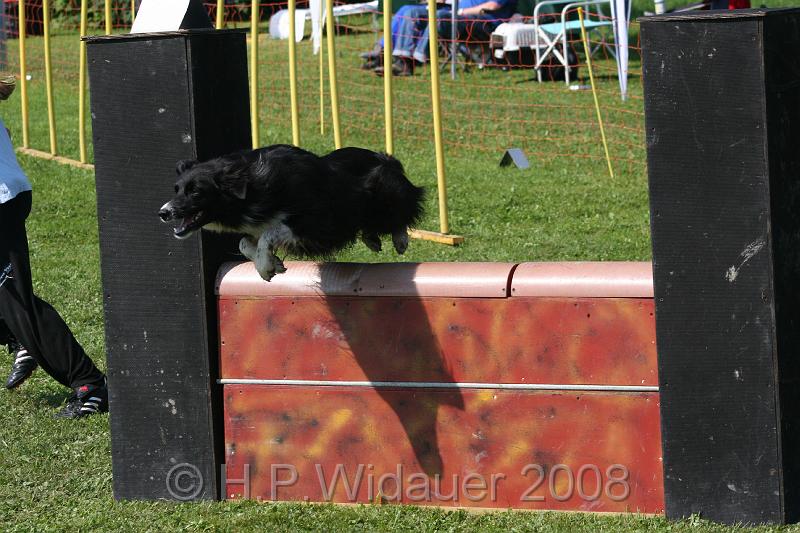 jubil.lusten. 242.jpg